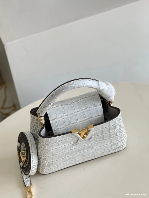 Aaa replica bags VUITTON MINI CAPUCINES LOUIS 0816